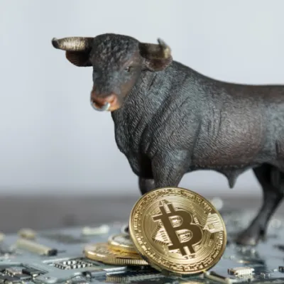 moeda de bitcoin e touro