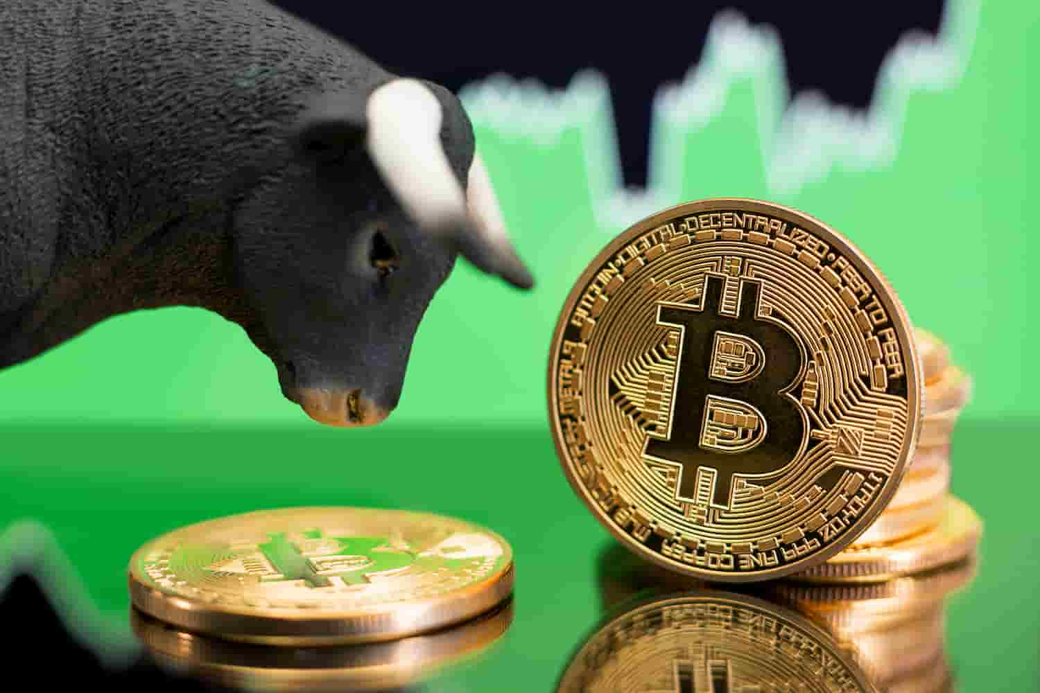 Touro com moeda de bitcoin e gráfico verde de fundo
