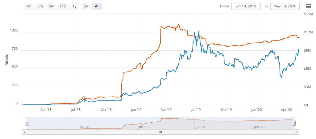 "Capacidade da Lightning Network": Bitcoin e USD na rede.