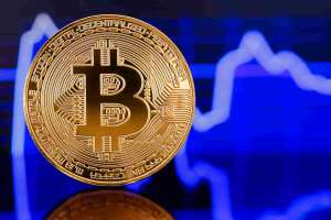Bitcoin on-chain dados