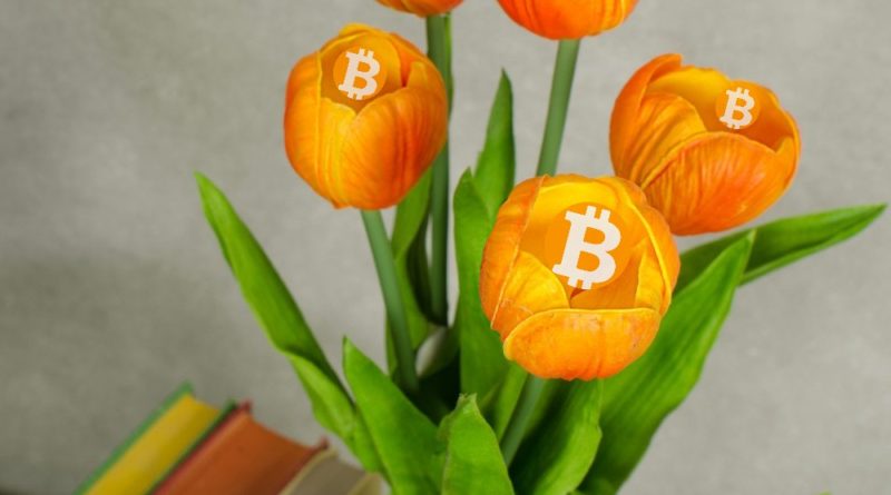 Bitcoin bolha das tulipas