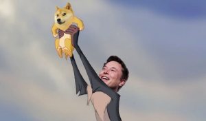 Da Banano à Jesuscoin: 5 criptomoedas meme que você não conhecia