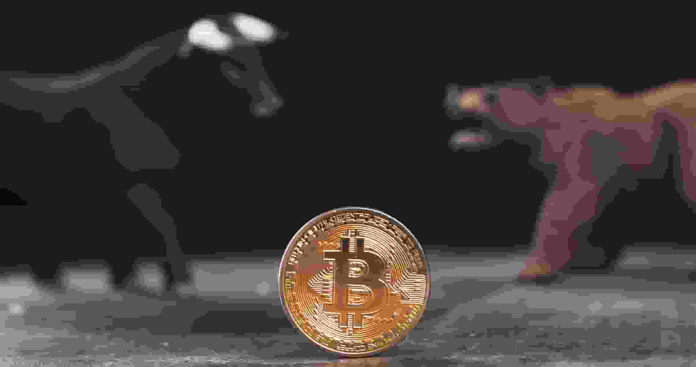 Touros e ursos do bitcoin