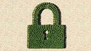 Cutcoin privacidade verde