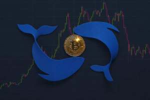 Baleias de bitcoin
