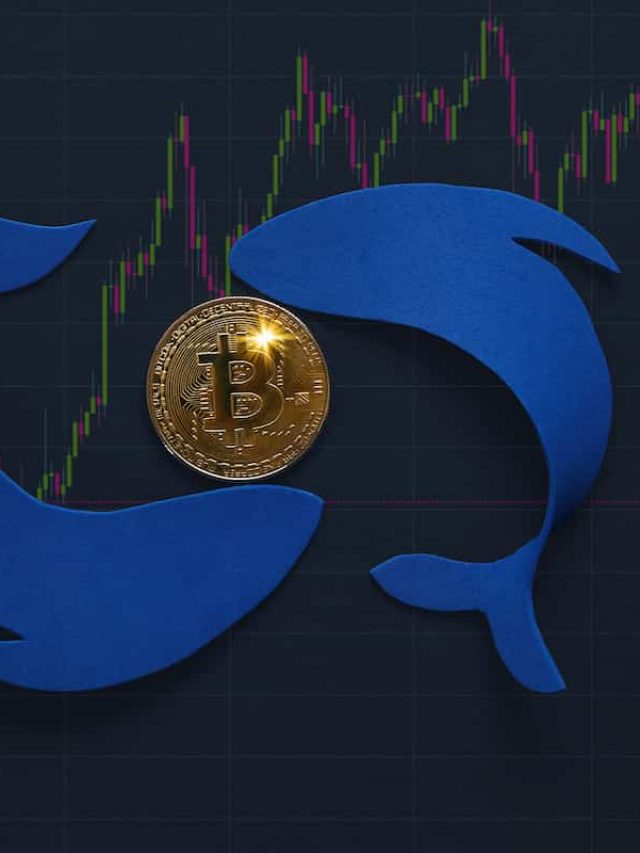 3 altcoins that whales are buying and selling
