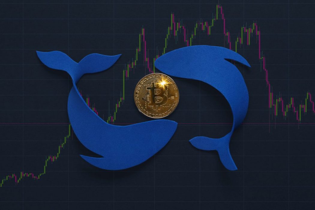 Baleias adquirem cerca de R$ 27,6 bilhões em Bitcoin em 28 dias