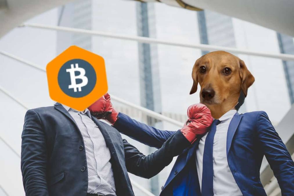 Mercado Bitcoin ataca “shitcoins” e shitcoin responde