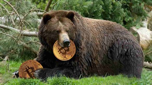 bear bitcoin capitalização de mercado