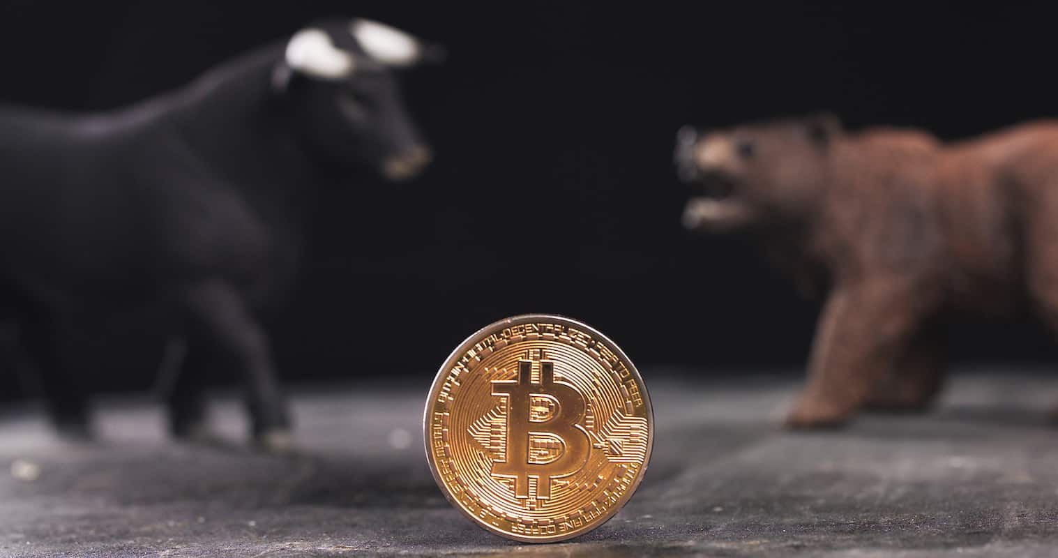 Bitcoin bull e bear