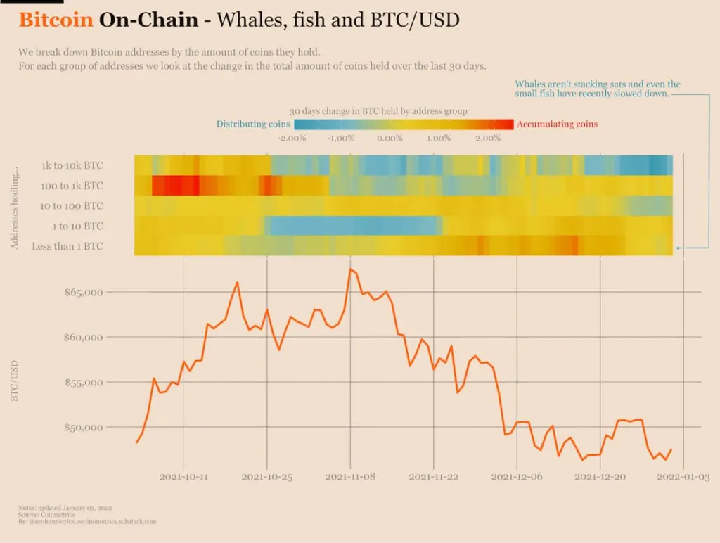 Gráfico que mostra movimento on-chain de baleias e sardinhas.