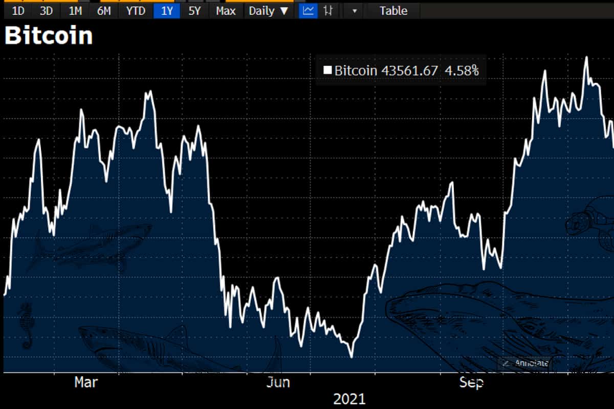 Bitcoin vai na contramão do mercado de ações tradicional subindo 14% desde ontem – Resumo de Mercado 