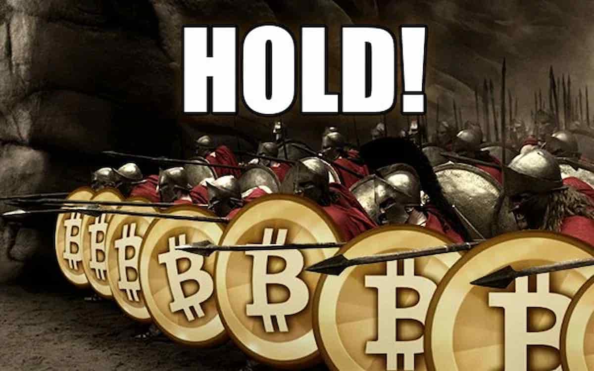 Hodlers - Meme dos 300 espartanos com escudos de Bitcoin gritando HOLD!