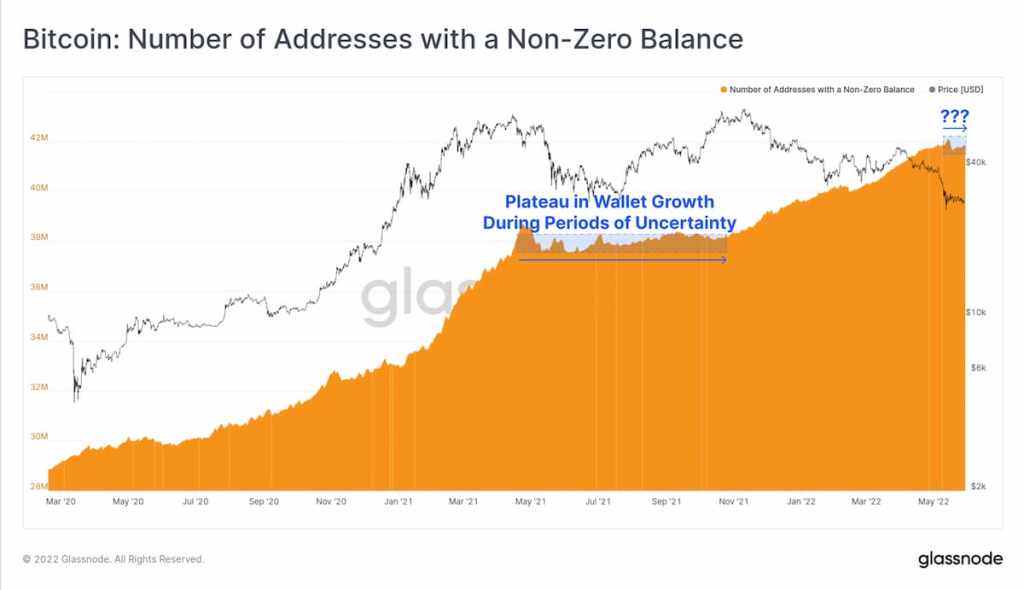 Gráfico da Glassnode sobre endereços novos e relação com preço.
