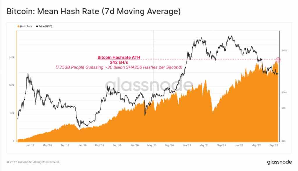 Gráfico da glassnode de Hashrate do bitcoin em máxima histórica de 242 EH/s