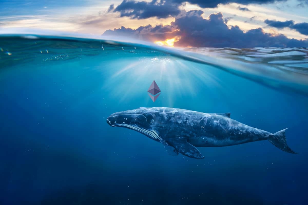baleia ethereum