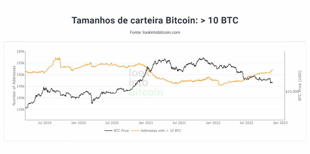 Carteiras de bitcoin com mais de 10 BTC dia 23 de novembro de 2022