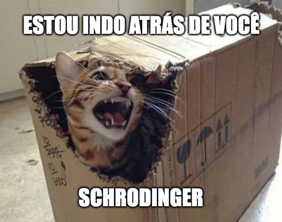 Meme do gato de Schrodinger