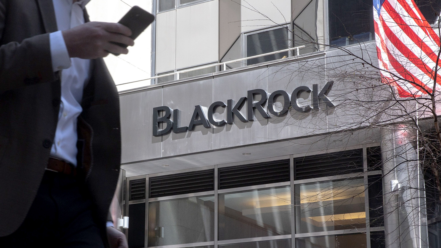 Por que as falas otimistas do CEO da BlackRock podem beneficiar o Bitcoin e a Tradecurve