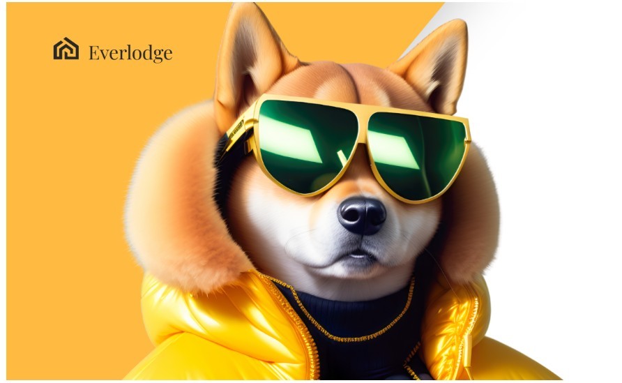 Criptomoedas bullish para não dormir no ponto ainda em 2023: Shiba Inu, Ethereum e Everlodge