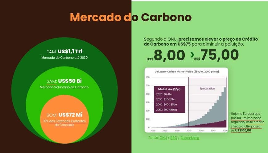 Mercado do Carbono