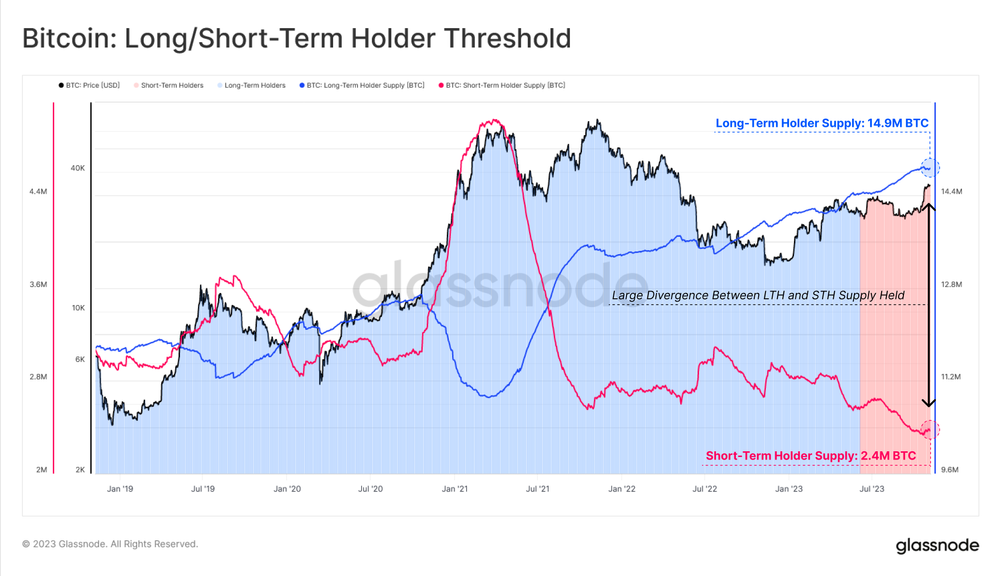 Gráfico entre Long e Short term hodlers