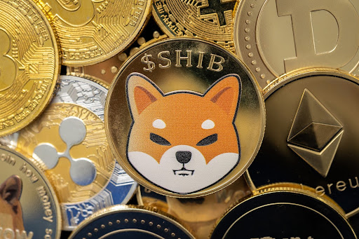 Previsão de preço do Shiba Inu – Investidores migram para Ethereum e Everlodge