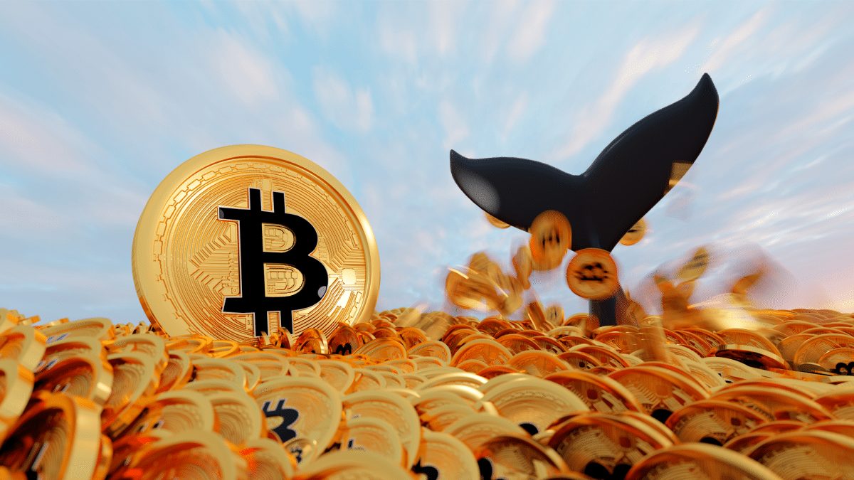 Baleia misteriosa acumula R$ 8 bilhões em Bitcoin em um ano, mas ninguém sabe quem é