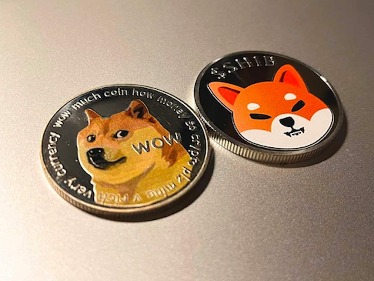 Investidor Inicial do Dogecoin Agora Investe na Pré-venda da PUSHD em Vez do Shiba Inu