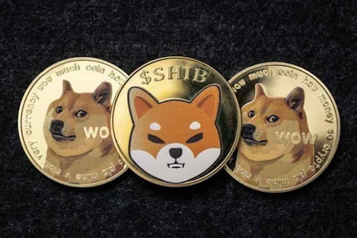 Frenesi de Presale! Kelexo Chega e Detentores de Shiba Inu e Dogecoin Correm para a Fase Um