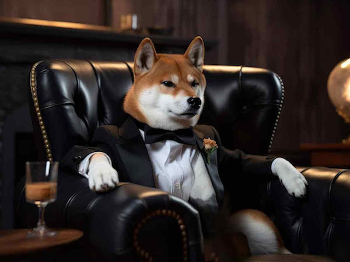 Shiba inu de terno em uma cadeira
