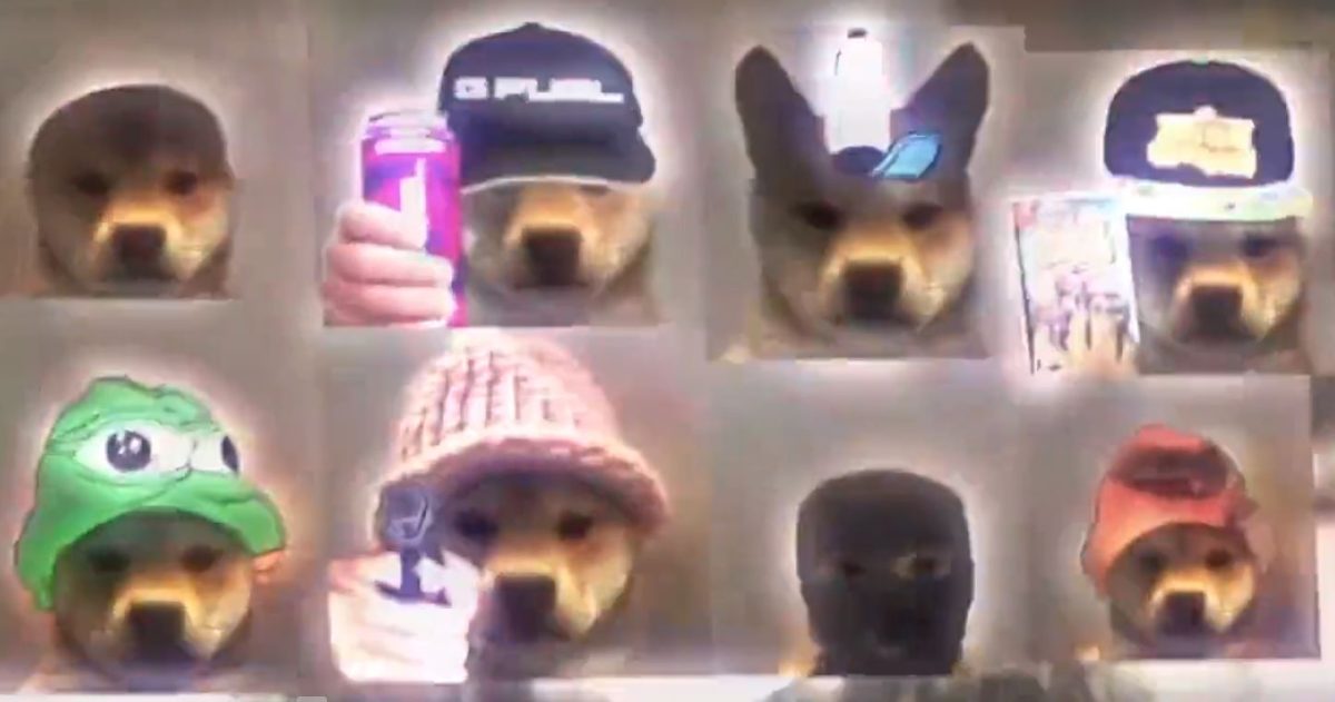 WIF: Criptomoeda inspirada em cachorro com chapéu dispara e desencadeia nova temporada de memecoins