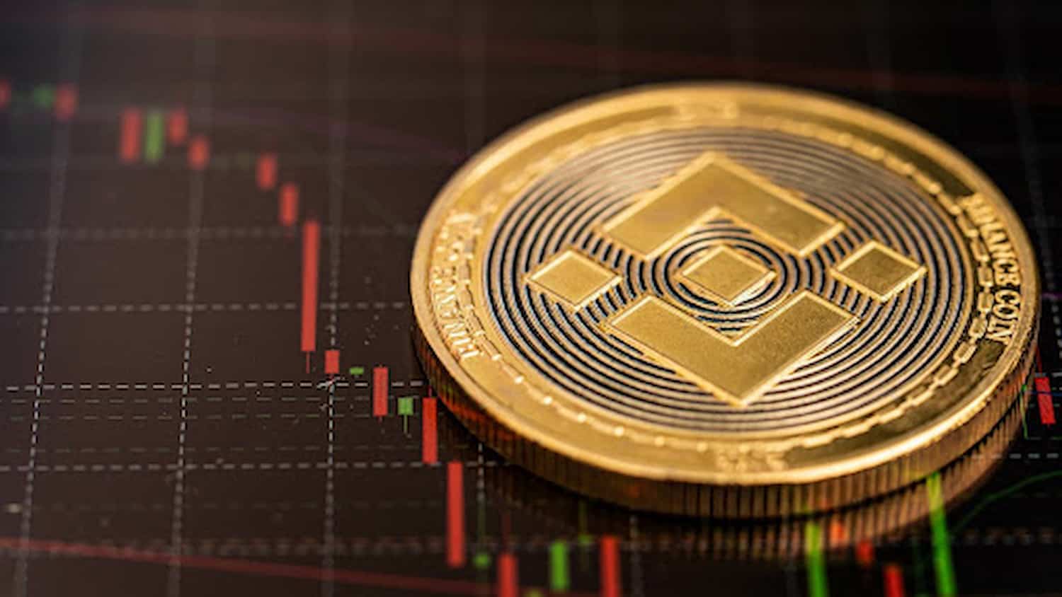 Binance Adiciona Recurso de Copy Trading, Enquanto Dogwifhat Declina Ligeiramente e KangaMoon Ultrapassa $4.6M em Financiamento de Pré-venda