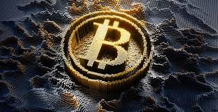 Os ultra ricos estão investindo muito em Bitcoin, revela Barbara Goldstein