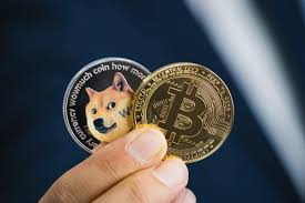 Crypto Expert revela o que esperar para Bitcoin, Dogecoin e XRP em 12-16 meses