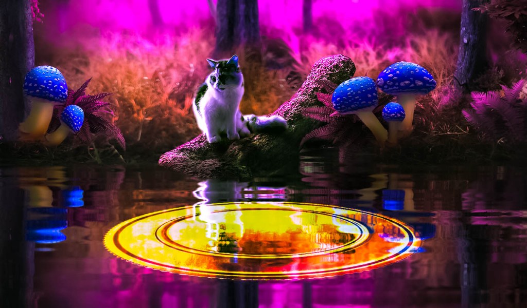 Wormhole (W) estreia com quase US$ 3.000.000.000 de capitalização de mercado após o Big Airdrop entrar em operação