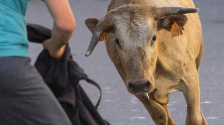 Bitcoin levanta bandeira de touro, a formação desencadeia pedidos de US $ 100.000