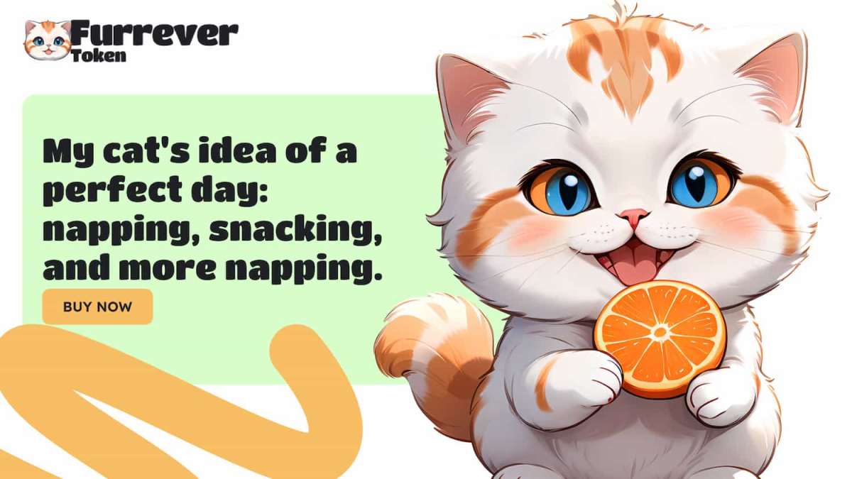 Furrever