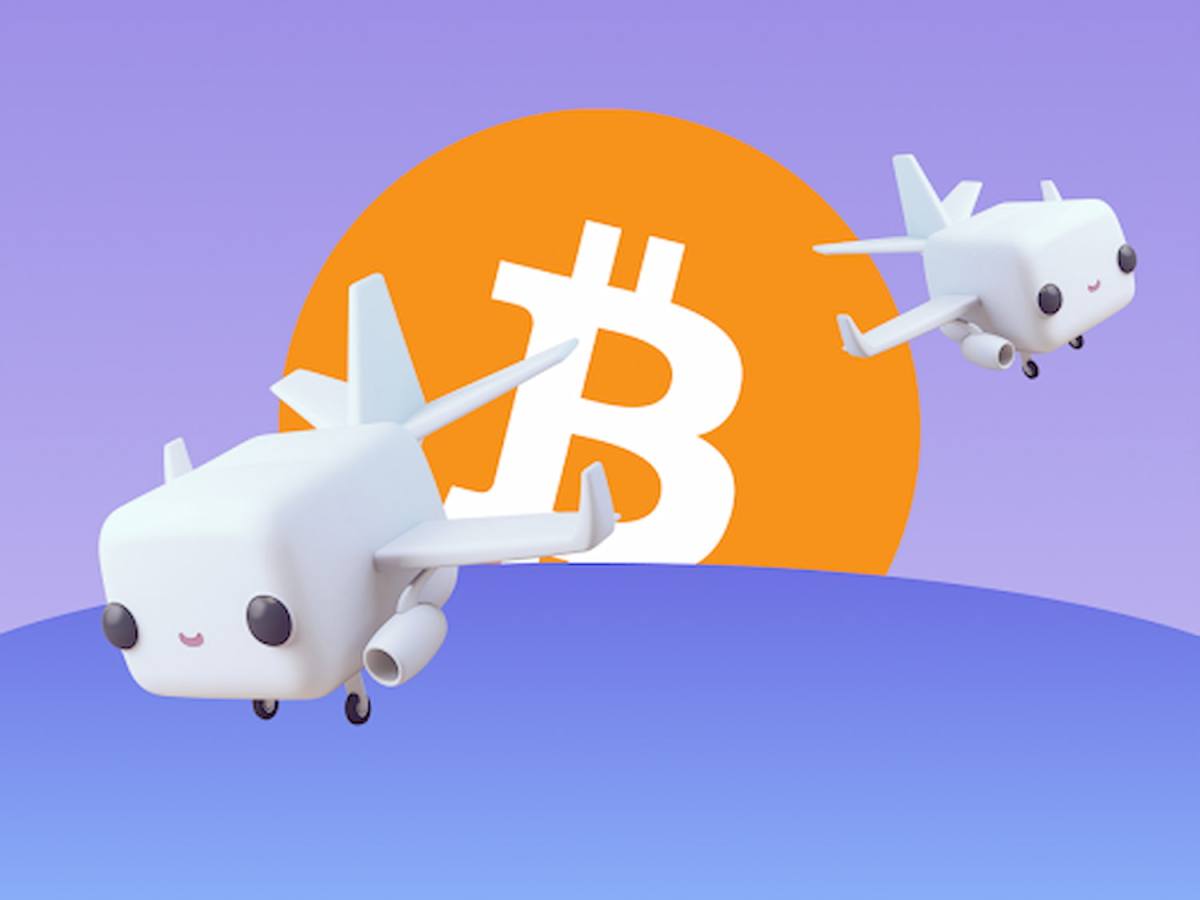 Aviões feitos de coelhos.