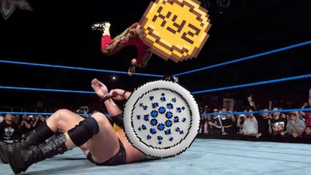 Cardano e xyz lutando