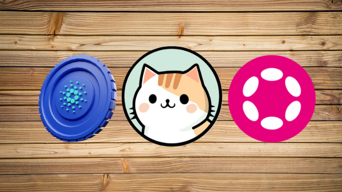 Os preços de Cardano e Polkadot despencam enquanto ZDEX continua a bater novos recordes