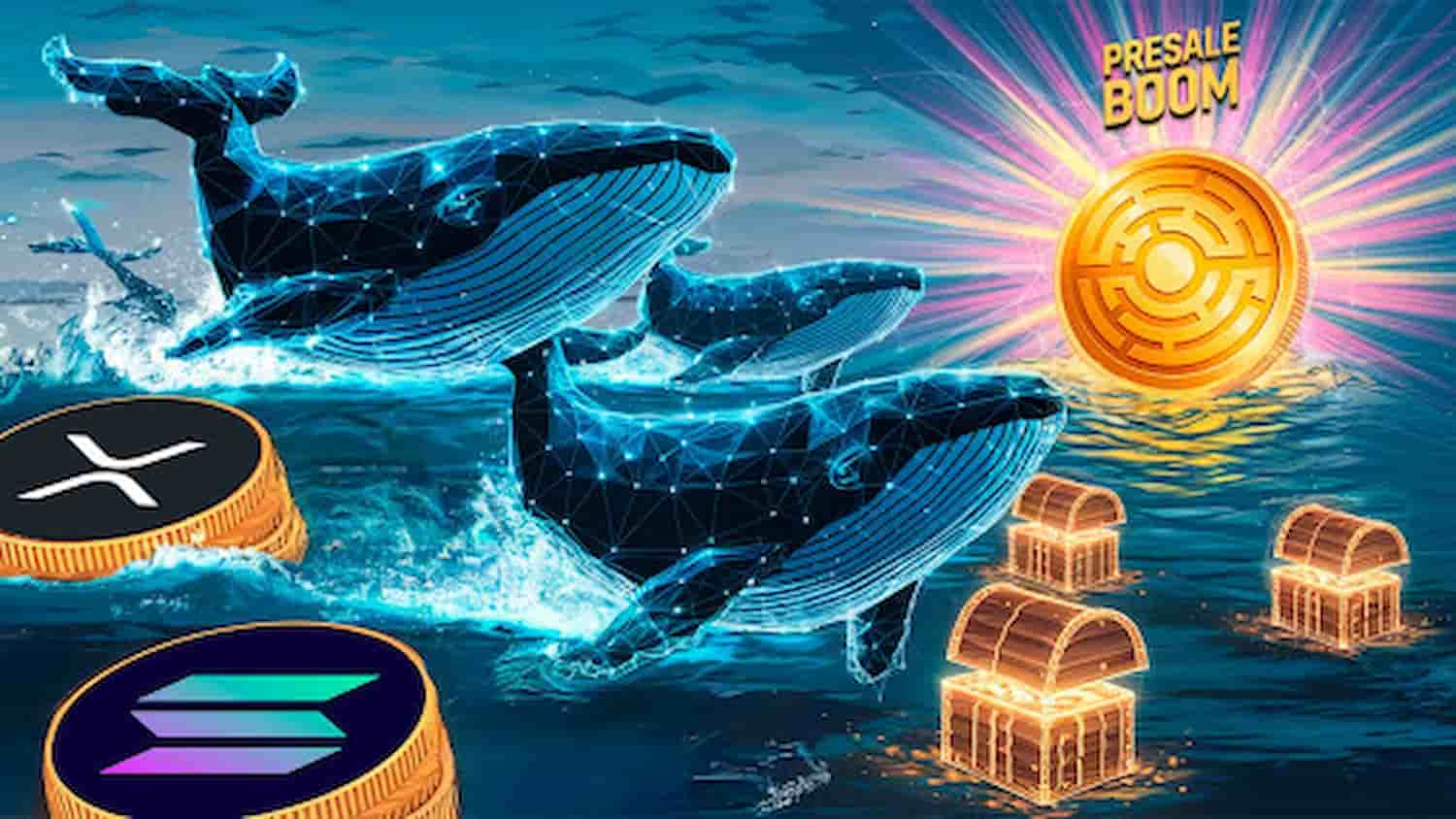 XRP e Solana Enfrentam Declínio enquanto Grandes Detentores Voltam-se para a Próxima Onda de Pré-venda