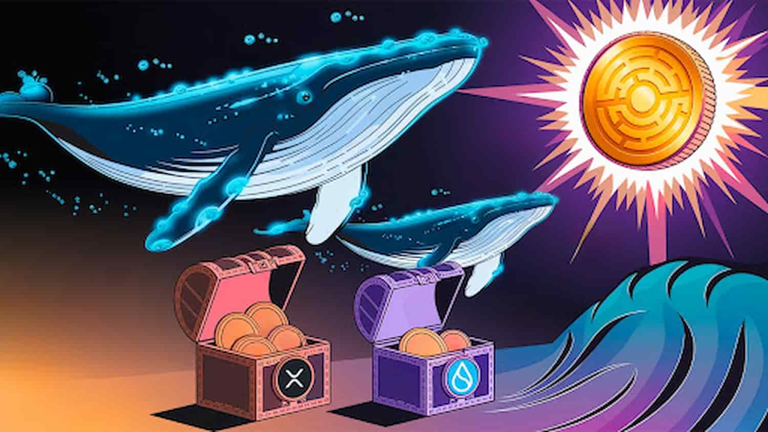 XRP Dispara 363%, SUI Segue a Tendência; Grandes Detentores Favorecem Token de Jogos Web3