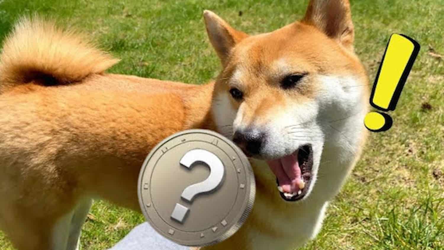 Até meados de 2025, estas três altcoins podem ultrapassar a alta histórica do Shiba Inu