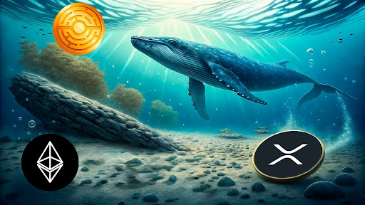 Grandes Detentores da Ripple Estão Trocando XRP Por Este Token de Gaming Enquanto Analistas Preveem Alta de 4.000% Antes da Próxima Alta do Ethereum