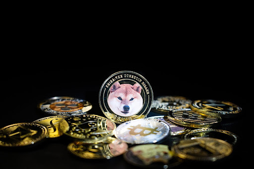 3 Razões Pelas Quais ChowWow Poderia Oferecer Retornos Superiores Comparado ao Dogecoin e Floki