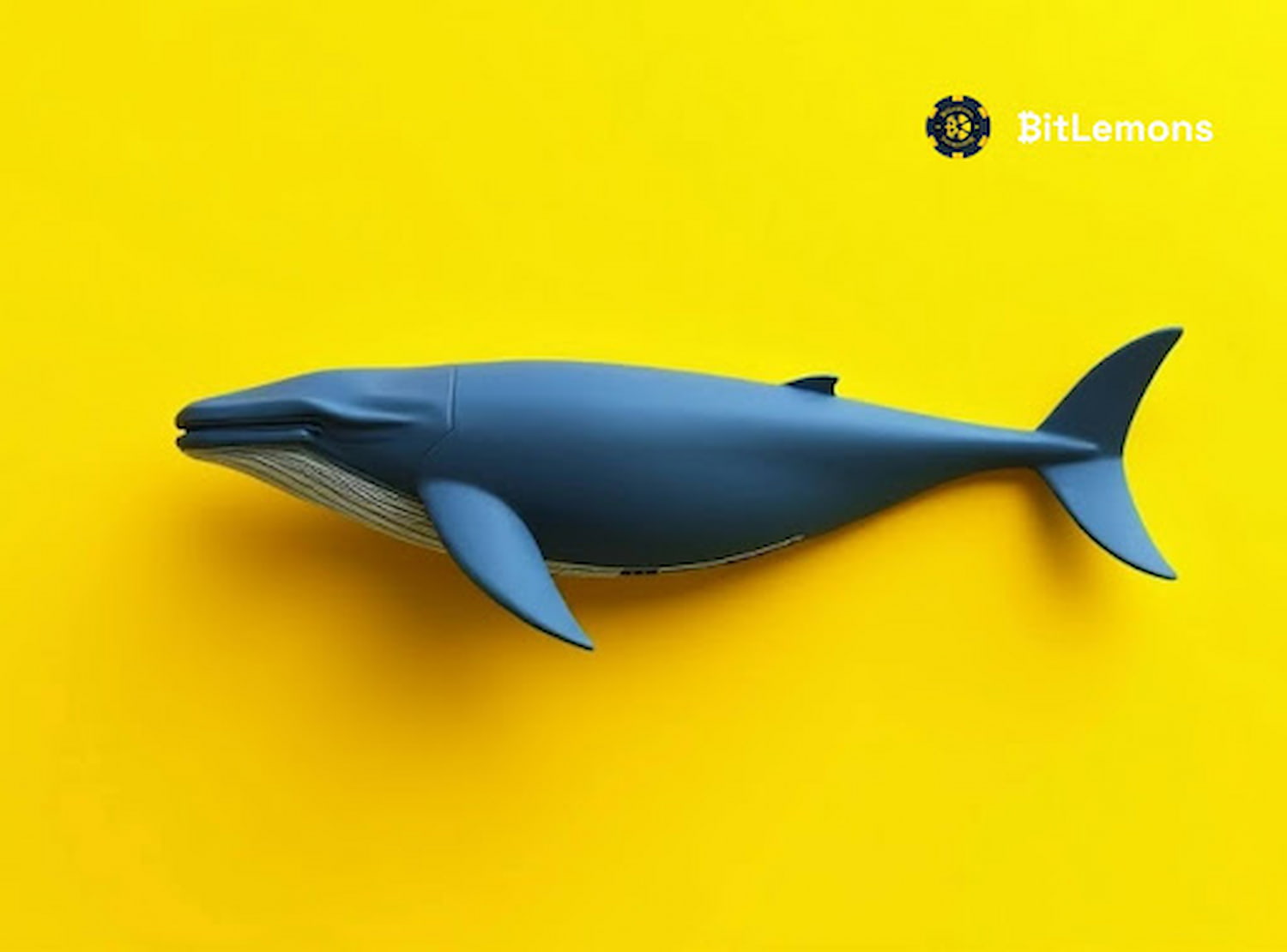 Ethereum e Dogecoin Estão em Alta, Mas Baleias Têm Seus Olhos no $BLEM