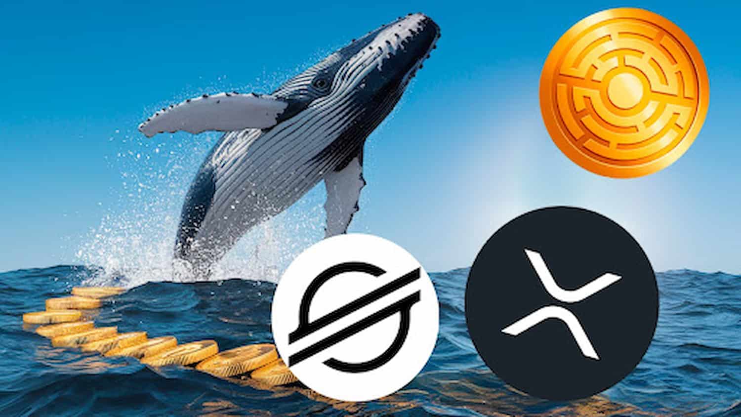 3 Altcoins ‘Aprovadas por Grandes Detentores’ para Adquirir e Manter Antes do FOMC de Março