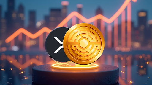 Eis Por Que uma Nova Máxima de $4 é Possível