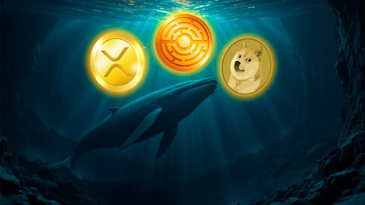 Baleias Compraram $800M em 48 Horas — MAS Liquidaram $370M em XRP Desde Abril! Um Token Secretamente Acumulado